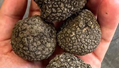 Agriturismo Casale 1921 - Foto 4