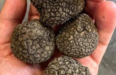 Agriturismo Casale 1921 - Foto 4