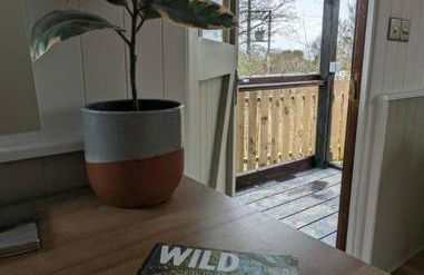 Cotts Cabin - Welcombe - 2 min walk to pub - Foto 21