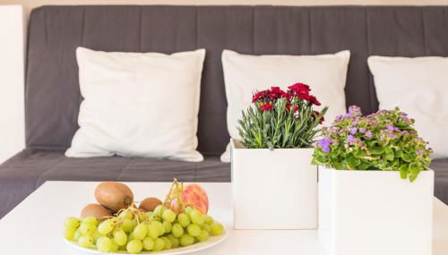 Gartenhaus Land-Idylle in der Stadt - Foto 2