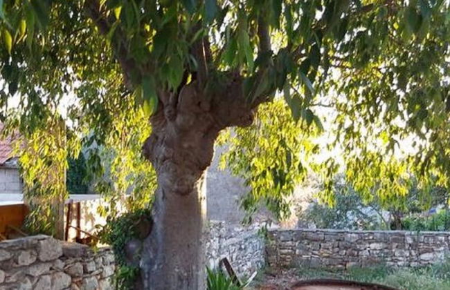 Holiday Home in Marina Near Beaches - Foto 30