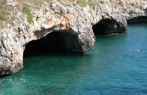 Pajara Rugiada - Foto 48