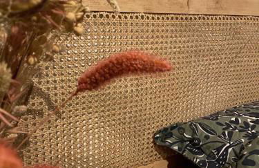 Studio au cœur du sancy - Foto 9