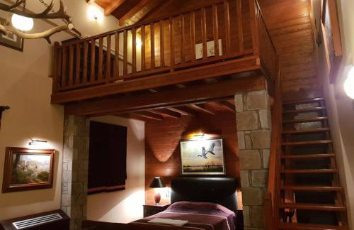 Pallas Casa - Photo 21