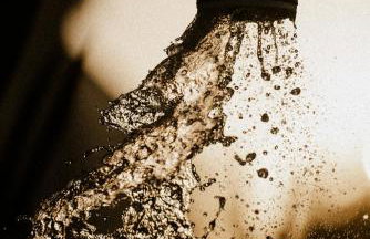 Aethra Nature's Sanctuary - Foto 12