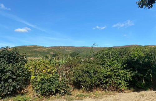 Vale View Glamping - Foto 6