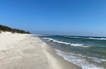 Oasis of Nature - Foto 38