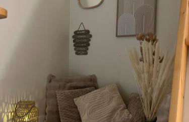 Appart Duplex Proche Centre - Foto 10