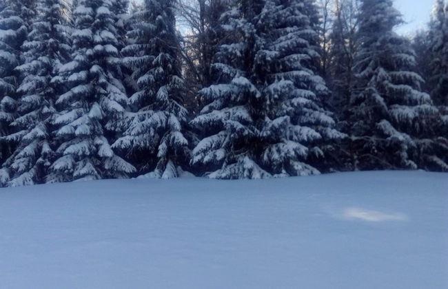 Gemutliches Familienapartment - Foto 25