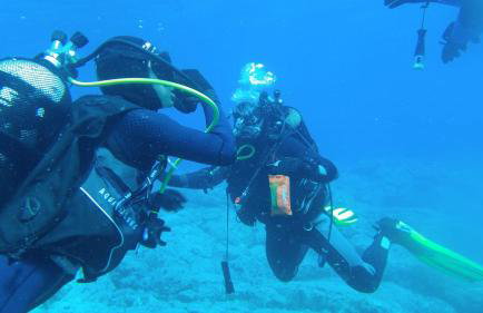 Villa LUCREZIA - Photo 28