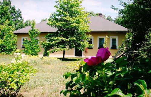 Agroturystyka Pod Modrzewiami - Foto 60