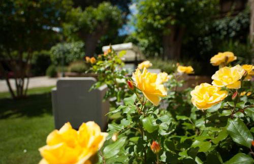 Casa Viale dei Cipressi - Foto 24