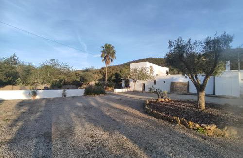 Can Pep Frit - Foto 34