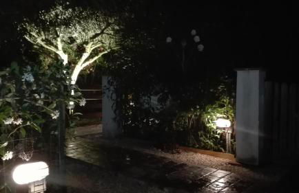 Il Piccolo Rifugio - L'Angoletto - Foto 13