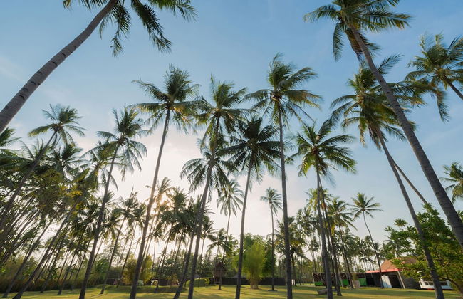 Villa Sapi - Foto 39