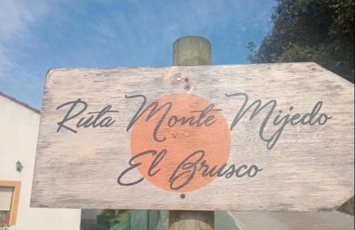 La casa de la avioneta - Foto 29