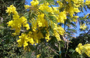 Ika Blue Studio - Photo 46