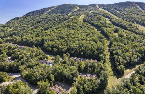 New host! Exceptional Sunday River Ski In Ski Out Condo - Foto 36