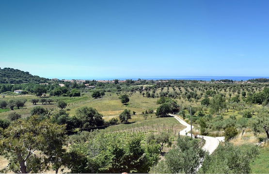 Barnìa - Agriturismo - Photo 50