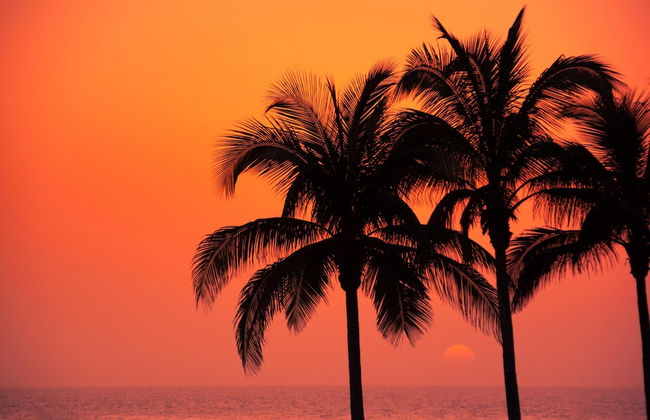 Serenity on Magnetic - Foto 9