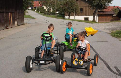 Ferienhof Naderhirn - Bauernhof - Foto 43