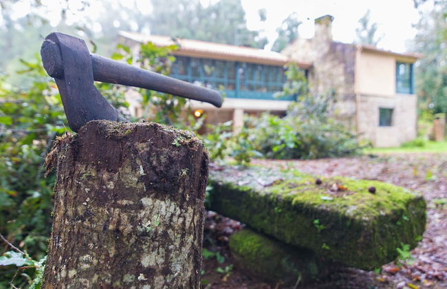 Casa do Cribeiro - Photo 1