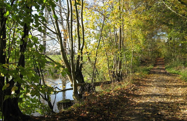 Cozy Family Holiday Home - Photo 40