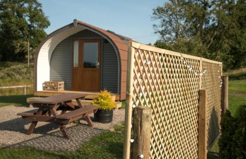 Wild Northumberland Glamping - Foto 55