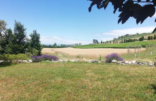 Corte Monticello - Foto 37