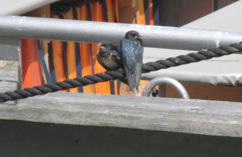 Ferienwohnung "Galerie" - Foto 22