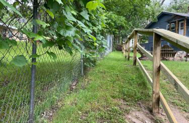Pet friendly Tiny House Rental with new Access to Guadalupe River NBTX - Photo 29