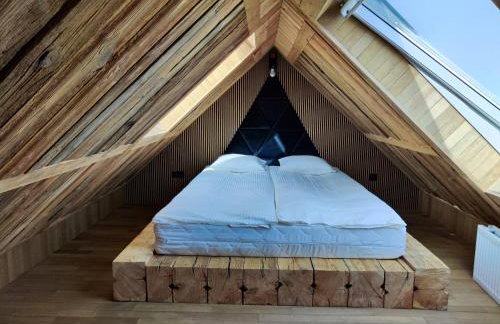 Vigor Horses - Foto 23