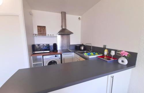 Port Horizon - T3 terrasse vue port climatisé piscine WIFI résidence Escale Port - Foto 5