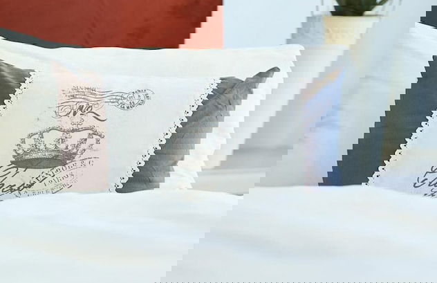 Aparthotel Stibbe - Foto 19