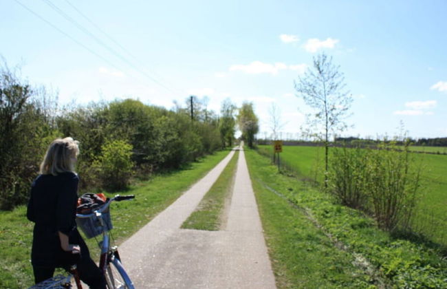 Elke Luthje Modern Retreat - Foto 15