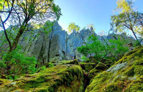 Ferienwohnung NatureOne - Foto 11