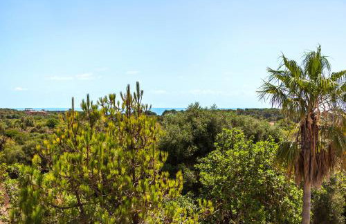 Finca Sanau - Foto 14