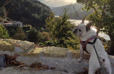 Casa dos Avós - Foto 31