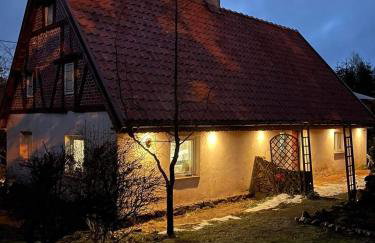 Świerkowe Ranczo Raciszewo - Foto 18