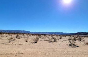 Indian Cove - Foto 47