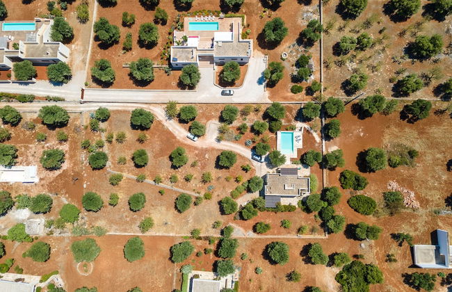 Villa Dahlia - Foto 23