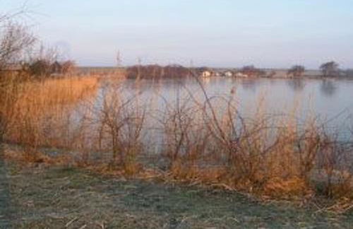 Holiday Home E15 Freistehendes Haus am Eckwarderhörner Deich by Interhome - Foto 19