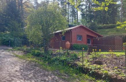 Ferienhaus in Geesthacht-Tesperhude direkt am Waldrand - Foto 18