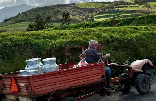 Casa Amélia - Photo 35