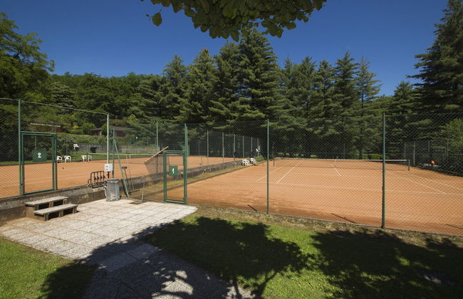 Rododendro Rosso in Ispra - Foto 6