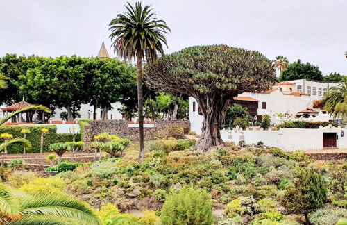 Casa Rural Giovanni & Rosa B Icod de los Vinos - Foto 45