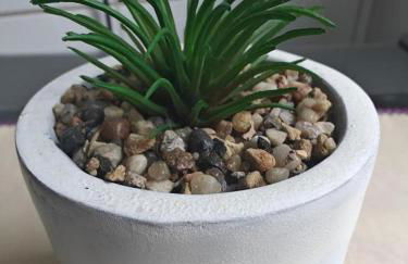 Refúgio Santista - Seu lar com vaga no litoral - Foto 26