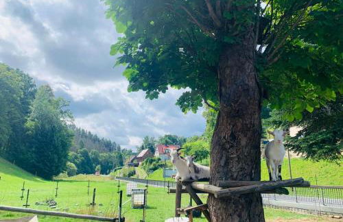 Naturhof Kluge - Foto 1