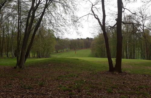 Gite De La Balle De Golf - Foto 7