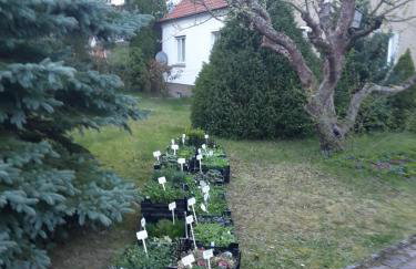 Kräuter-Heidi - Foto 28